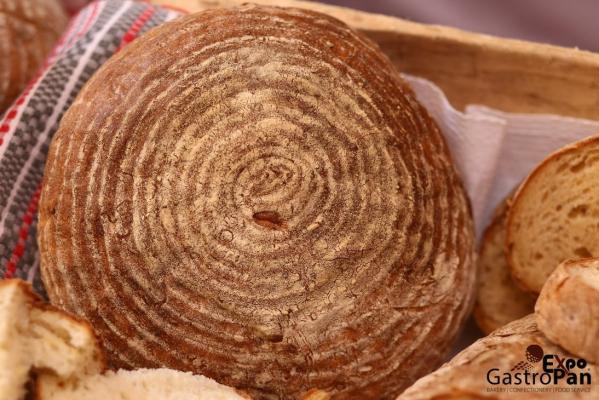 gastropan2016069